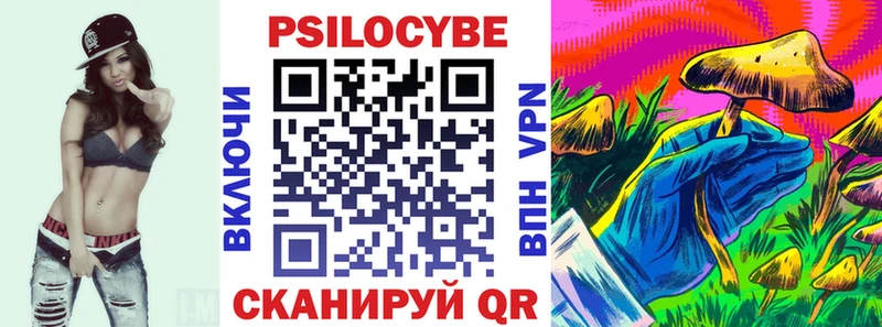 Купить  Пудож  Псилоцибиновые грибы Magic Shrooms 